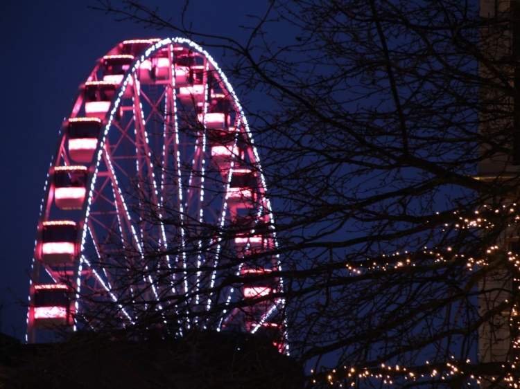 Singlereis Genieten tijdens de feestdagen in Antwerpen