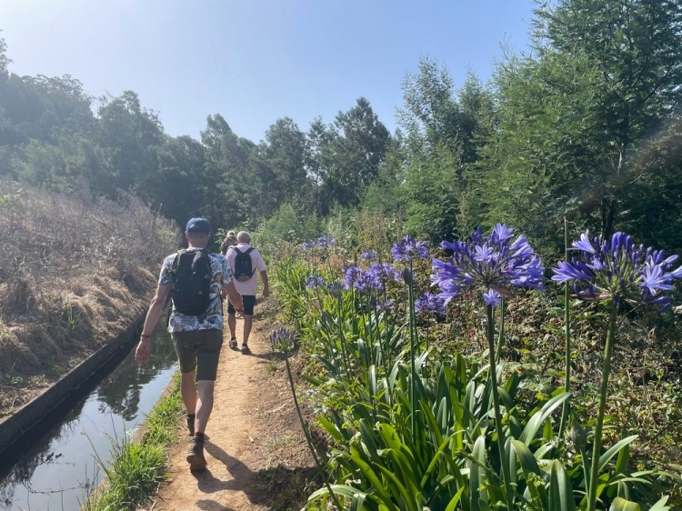 Singlereis Wandelvakantie op Madeira
