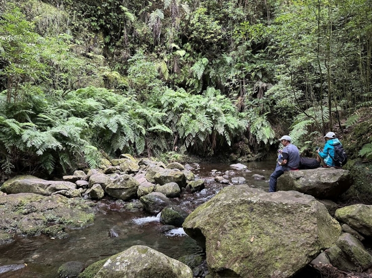 Singlereis Wandelvakantie op Madeira