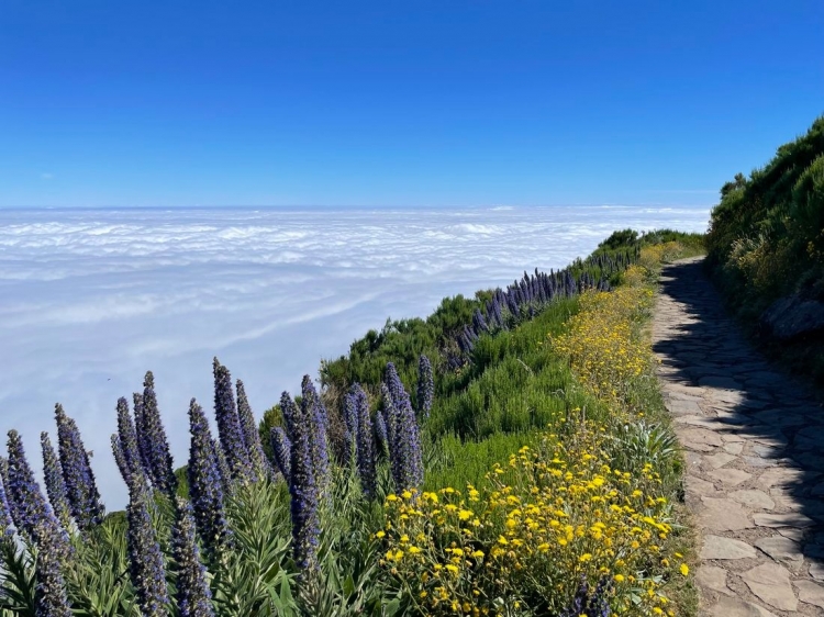 Singlereis Wandelvakantie op Madeira