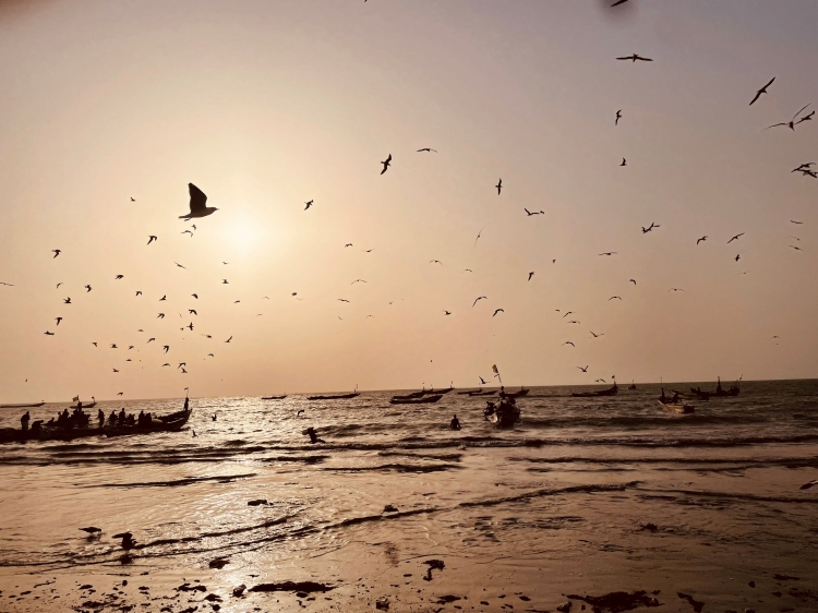 Singlereis HBO+ Winterzon in Gambia