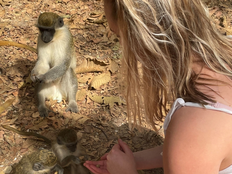 Singlereis HBO+ Winterzon in Gambia