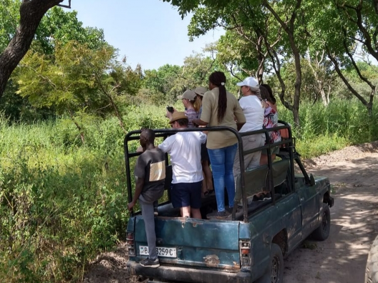 Singlereis HBO+ Winterzon in Gambia