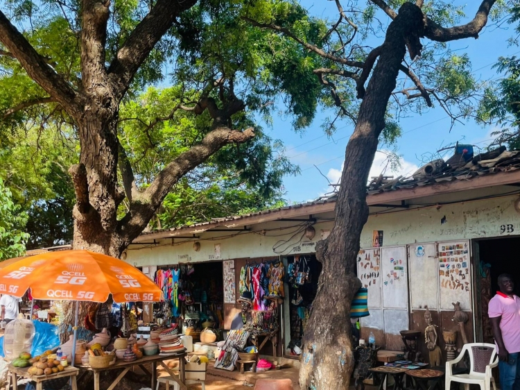 Singlereis HBO+ Winterzon in Gambia