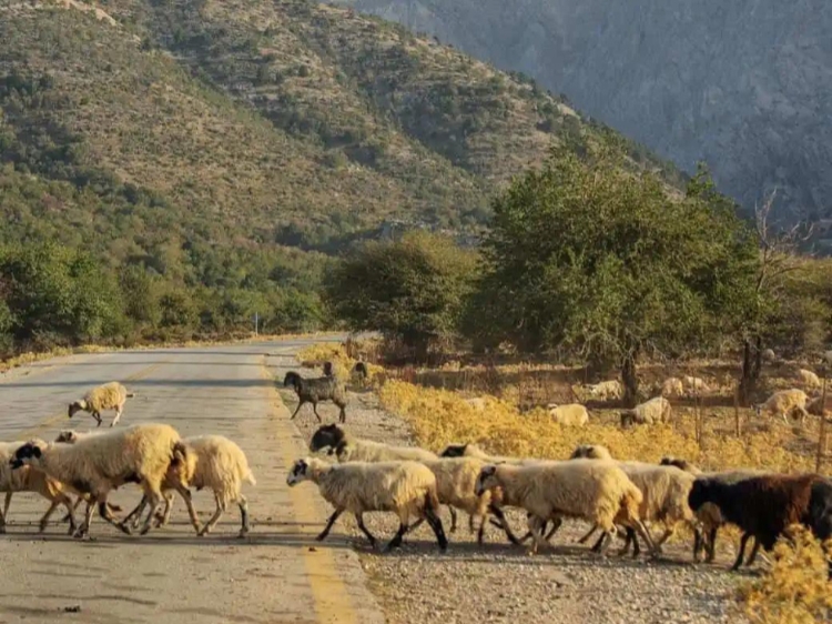 Singlereis Wandelvakantie Langs de kust van Kreta