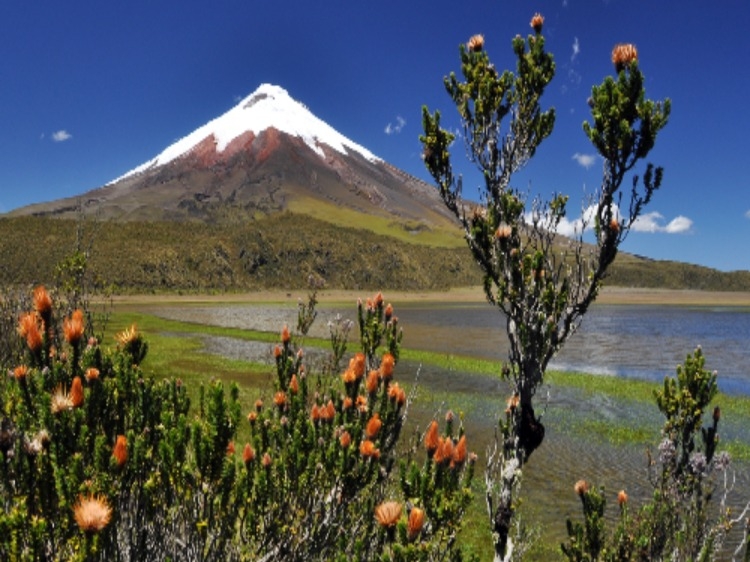 Groepsreis Ecuador 15-daagse rondreis