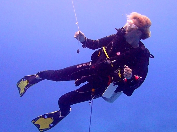 Singlereis Duikvakantie Malediven Liveaboard