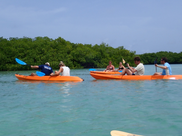 Singlereis Duikvakantie Bonaire  het Duikersparadijs