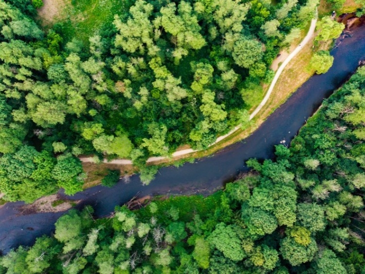 Singlereis Polen en de Baltische Staten 14-daagse rondreis