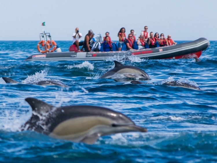 Singlereis Winterzonvakantie in de Algarve