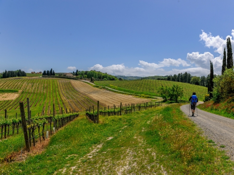 Singlereis Wandelvakantie naar Rome