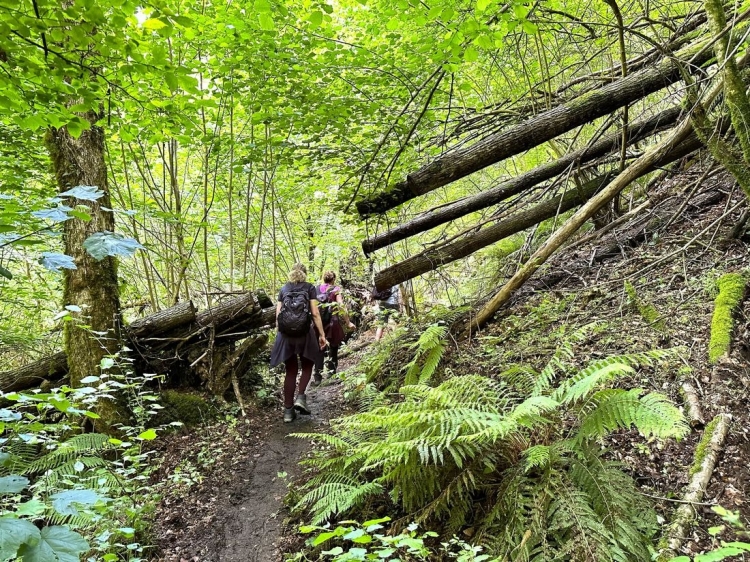 Singlereis Wandelvakantie naar Rome