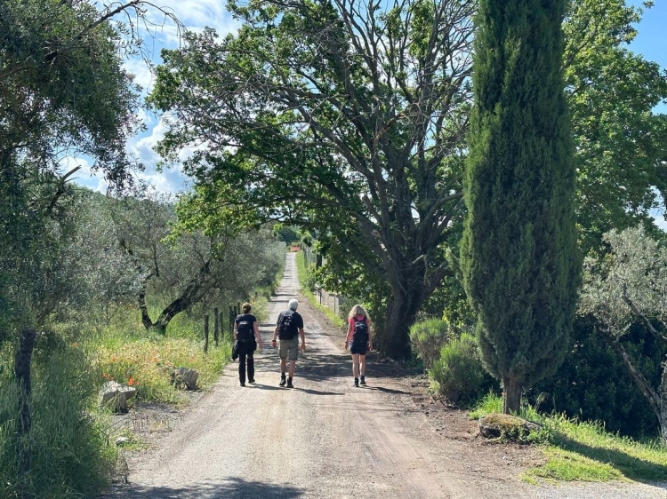 Singlereis Wandelvakantie naar Rome