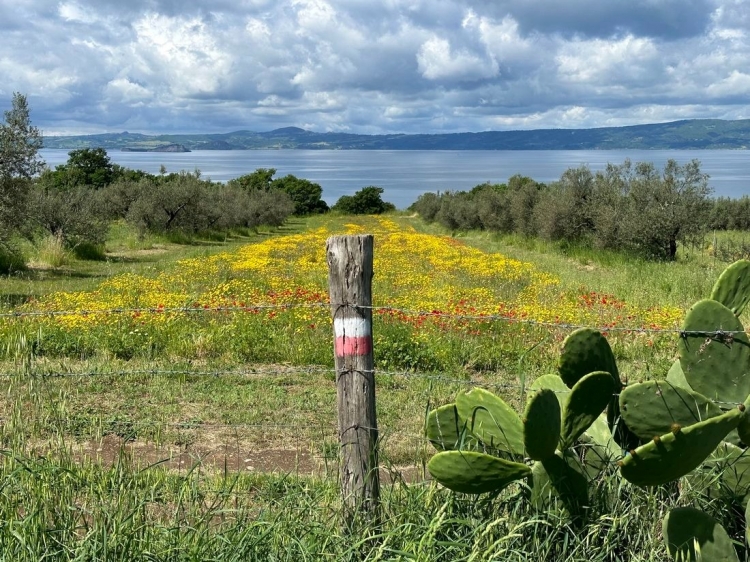 Singlereis Wandelvakantie naar Rome