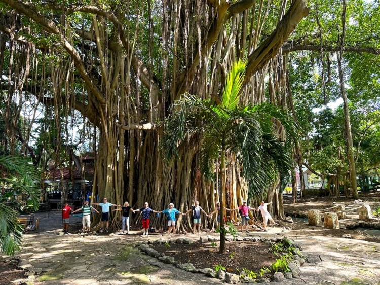 Singlereis Rondreis Kleurrijk Cuba