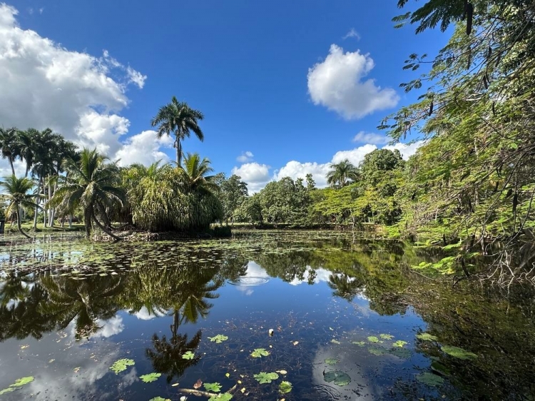 Singlereis Rondreis Kleurrijk Cuba