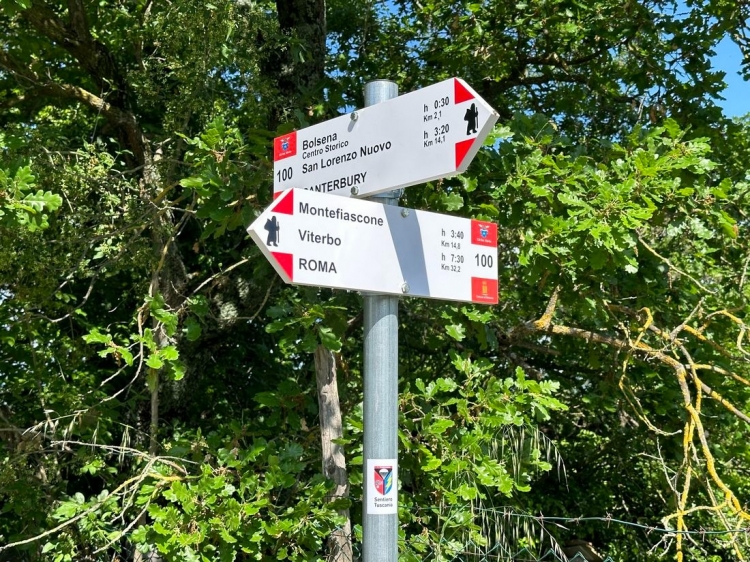 Singlereis Wandelvakantie naar Rome