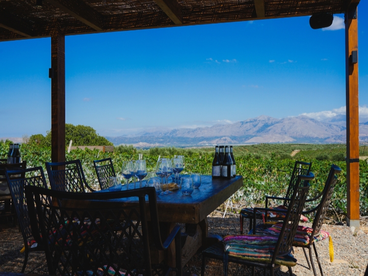 Singlereis Zon en Cultuur  op Kreta, Griekenland