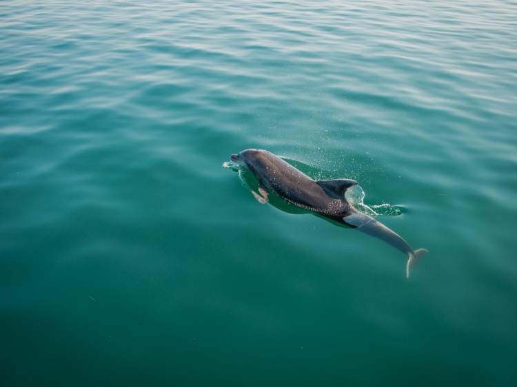 Singlereis Zon en Cultuur  in Epirus, Griekenland