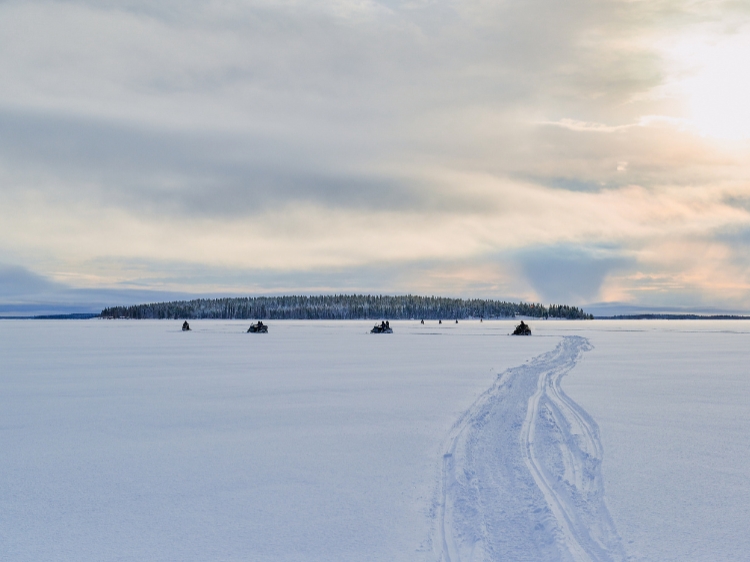 Singlereis Wintervakantie in Zweeds Lapland
