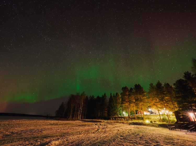 Singlereis Wintervakantie in Zweeds Lapland