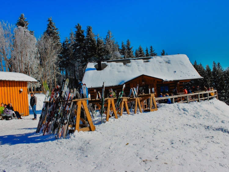 Singlereis Wintersport in Winterberg Voor beginnende skiërs