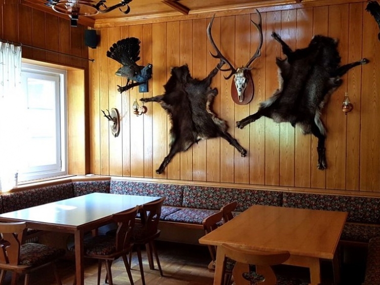 Singlereis Genieten van wintersport in Hohe Tauern, Karinthië