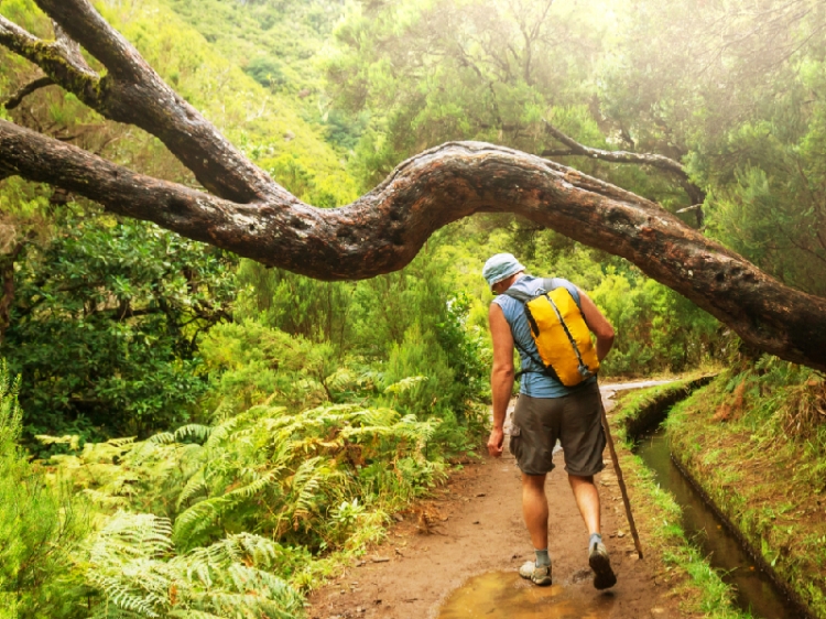 Groepsreis Actieve reis naar avontuurlijk Madeira
