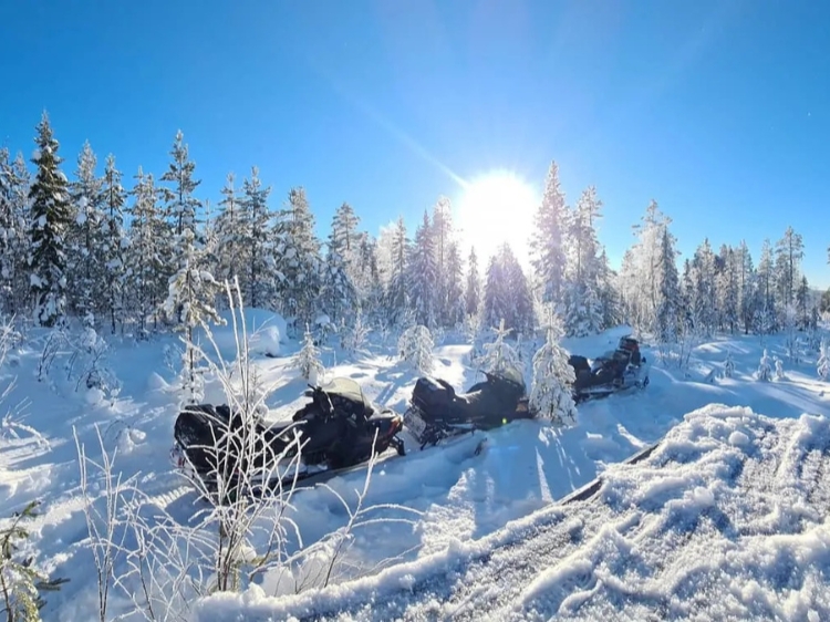 Singlereis Ontdek Zweeds Lapland Vanuit een husky basecamp 