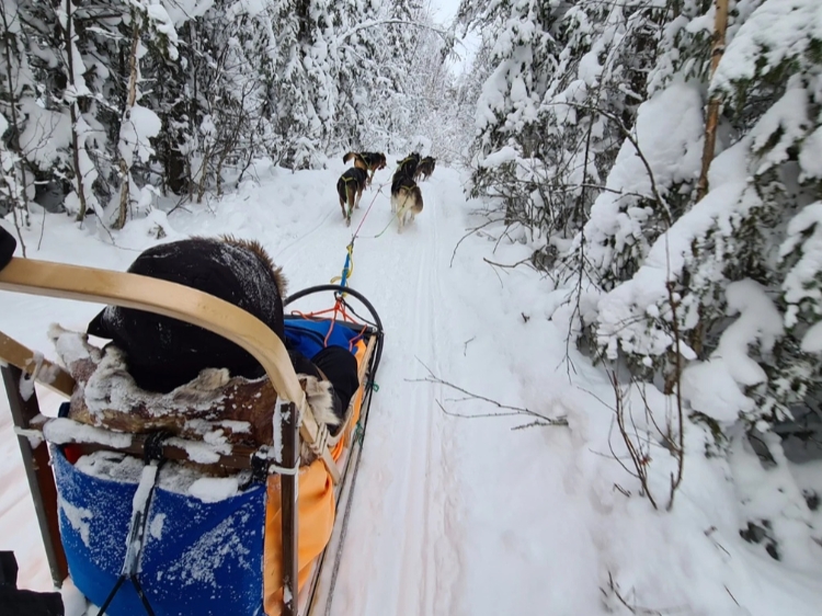 Singlereis Ontdek Zweeds Lapland Vanuit een husky basecamp 