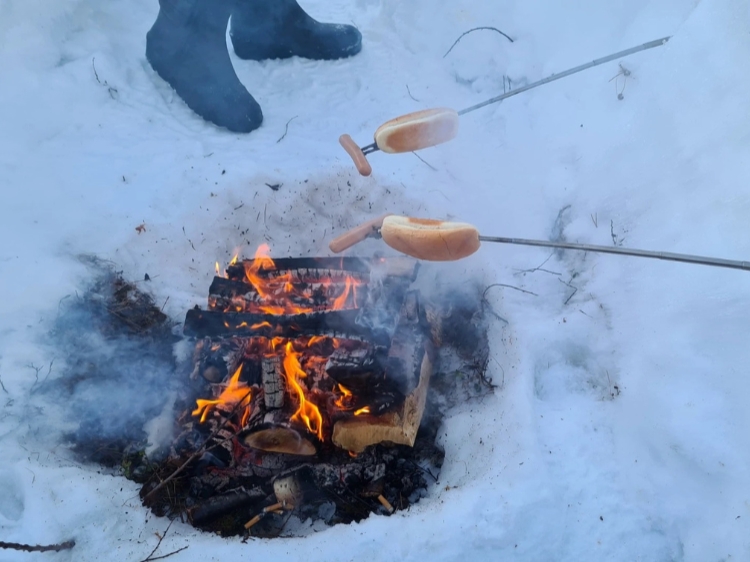 Singlereis Ontdek Zweeds Lapland Vanuit een husky basecamp 