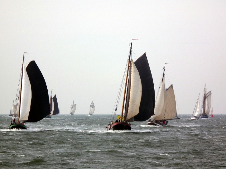 Singlereis Zeilweekend Brandaris Race