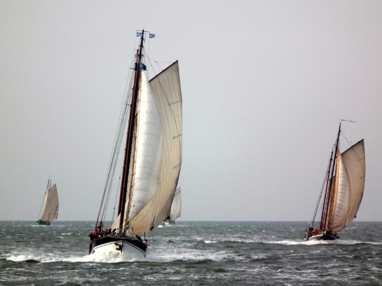 Singlereis Zeilweekend Brandaris Race