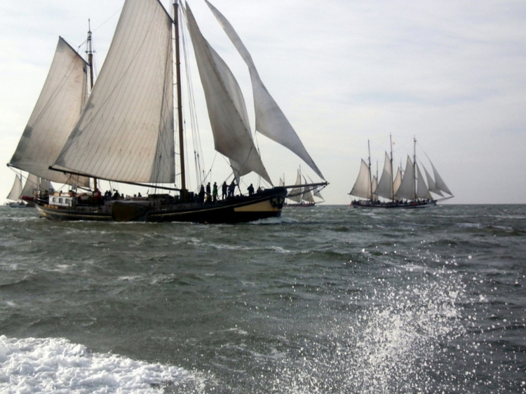 Singlereis Zeilweekend Brandaris Race