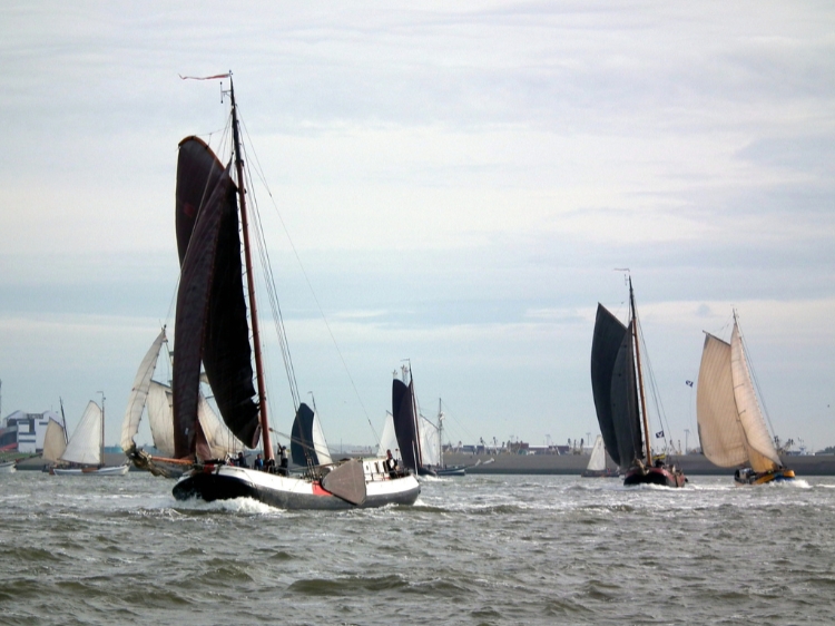 Singlereis Zeilweekend Brandaris Race