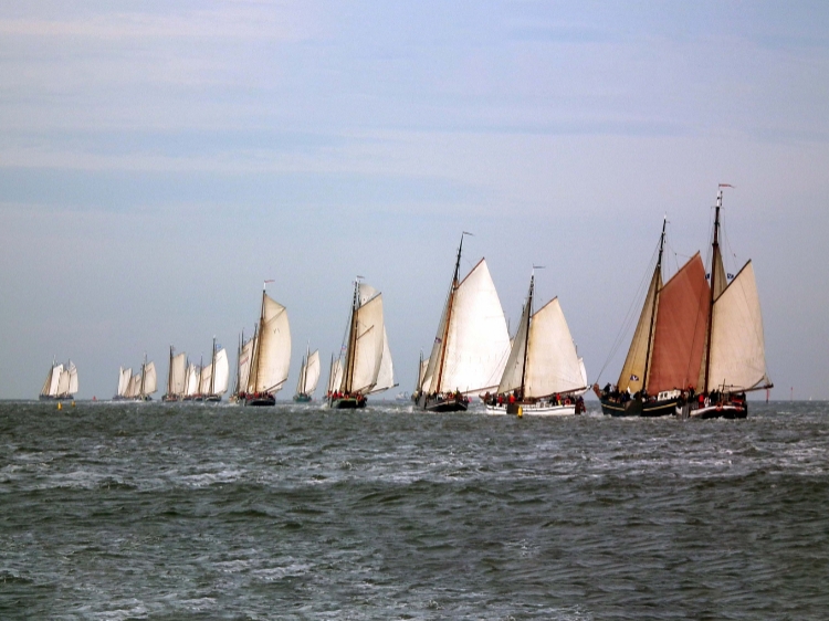 Singlereis Zeilweekend Brandaris Race