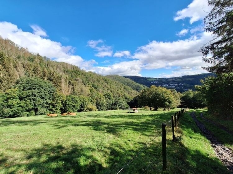 Singlereis Wandel Avontuur Door de natuur van Luxemburg