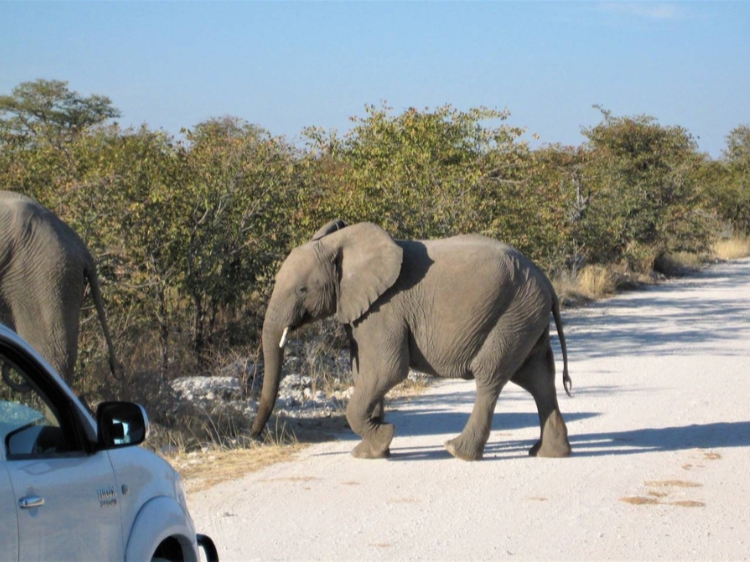 Singlereis Actieve rondreis Namibië