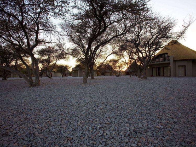 Singlereis Actieve rondreis Namibië