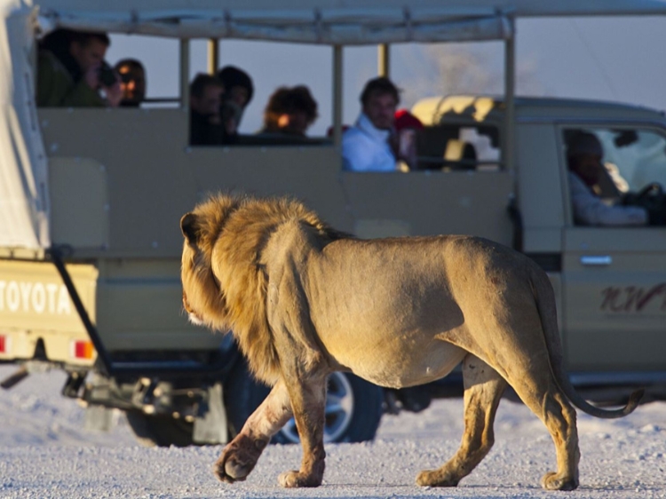 Singlereis Actieve rondreis Namibië