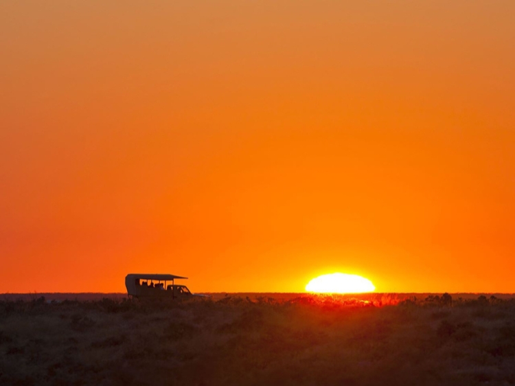 Singlereis Actieve rondreis Namibië