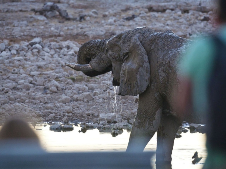 Singlereis Actieve rondreis Namibië