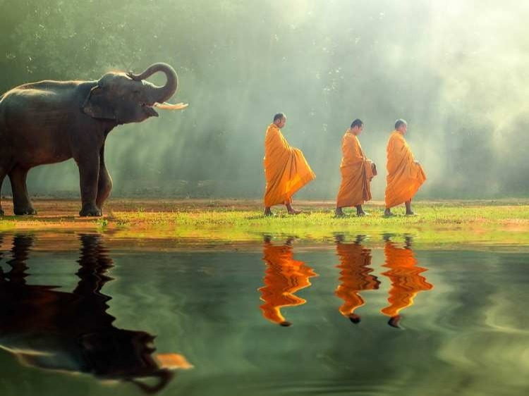 Singlereis 15-daagse rondreis  Thailand en Cambodja