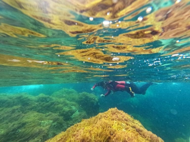 Groepsreis Actieve vakantie op de Azoren