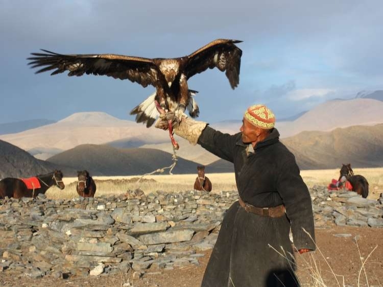 Singlereis Mongolië 16-daagse rondreis