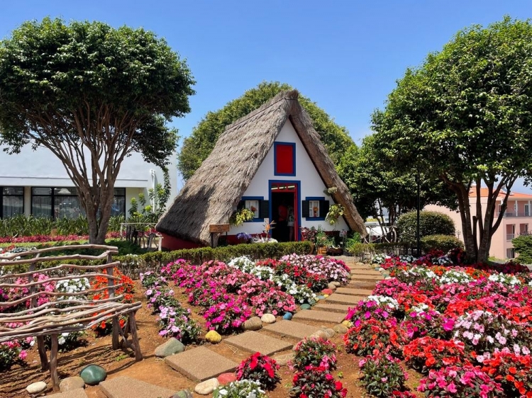 Singlereis Zorgeloze Zonvakantie op bloemeneiland Madeira