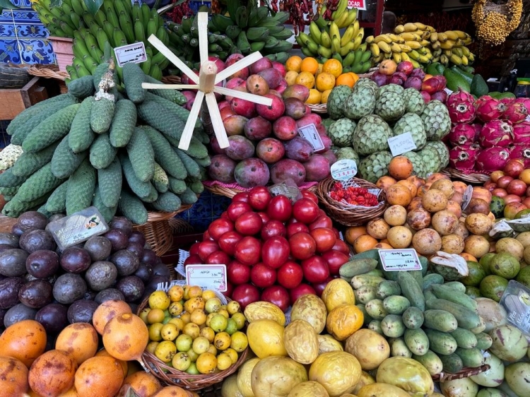 Singlereis Zorgeloze Zonvakantie op bloemeneiland Madeira