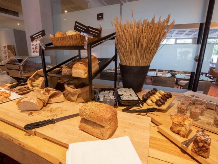 Singlereis Body en Mind Yoga en Wellness op de Veluwe