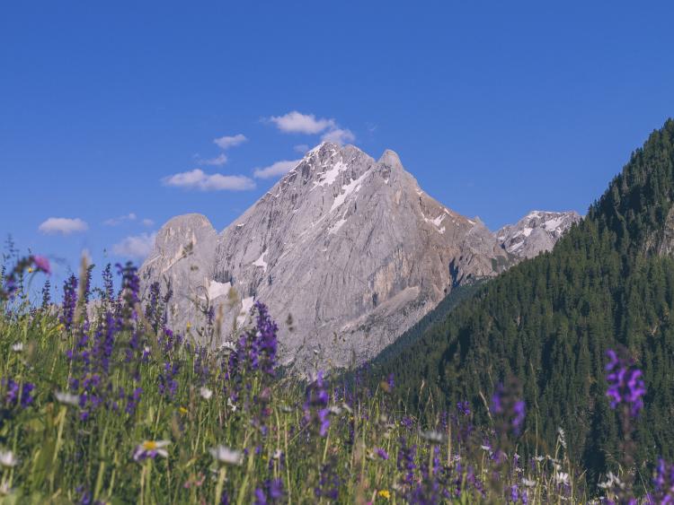 Singlereis Wandelvakantie Huttentocht in de Dolomieten