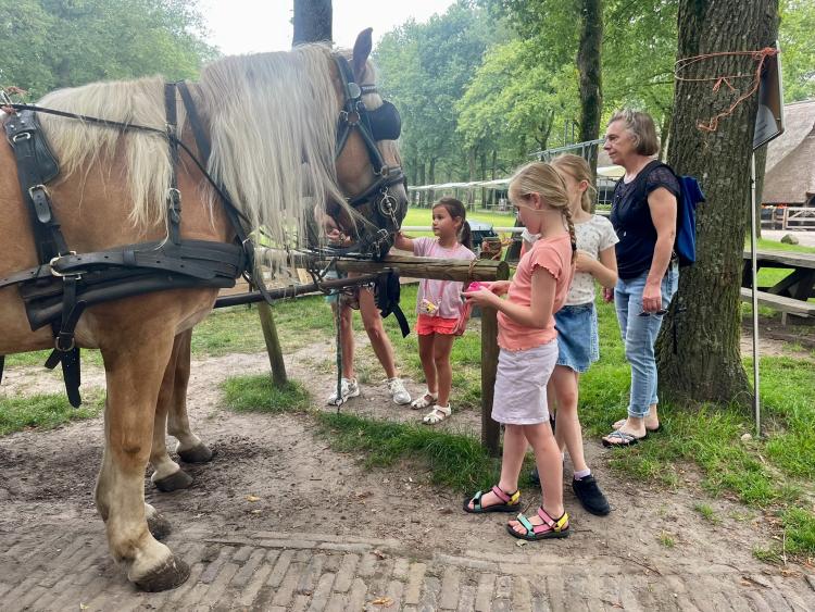 Eenoudervakantie Zomers Avontuur in Drenthe